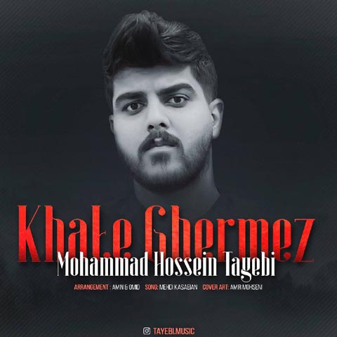 دانلود آهنگ محمد حسین طیبی خال قرمز